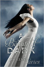 Review: A Beautiful Dark by Jocelyn Davies.