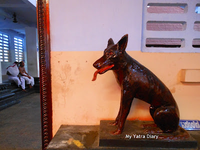 Dog at the Shree Muthappan Temple, Parassinikadavu, Kannur