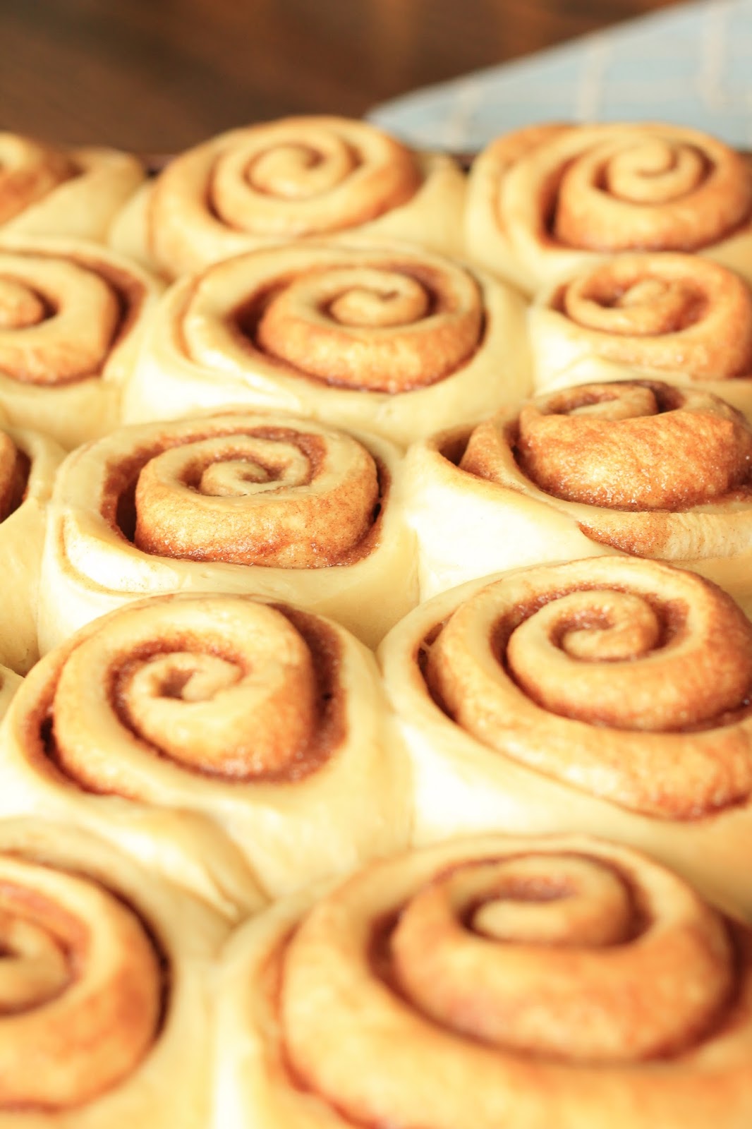 Celebrating Happy The Best Cinnamon Rolls with Pudding