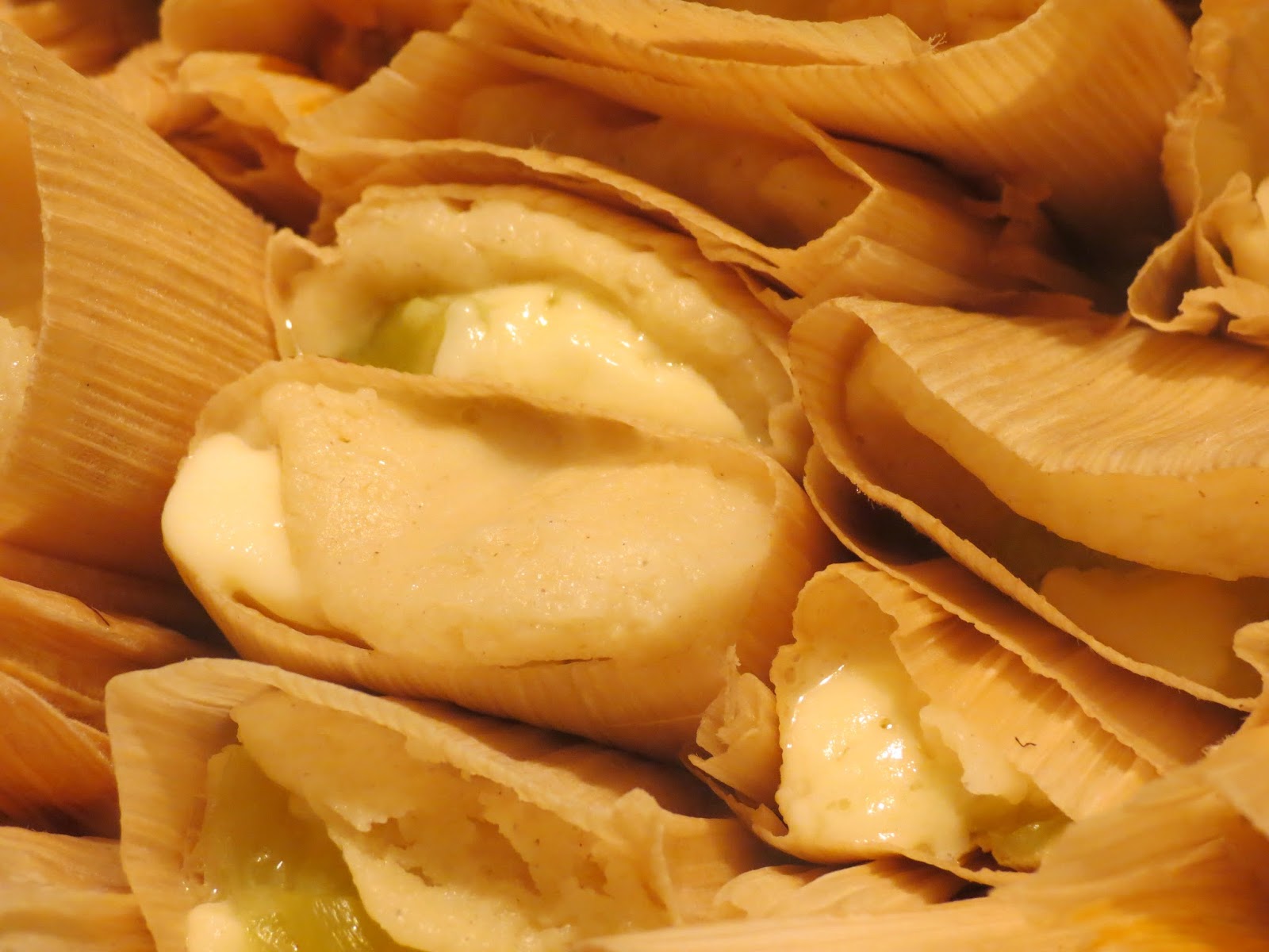 A Lady in Time Book Review Tamales Fast and Delicious Mexican Meals