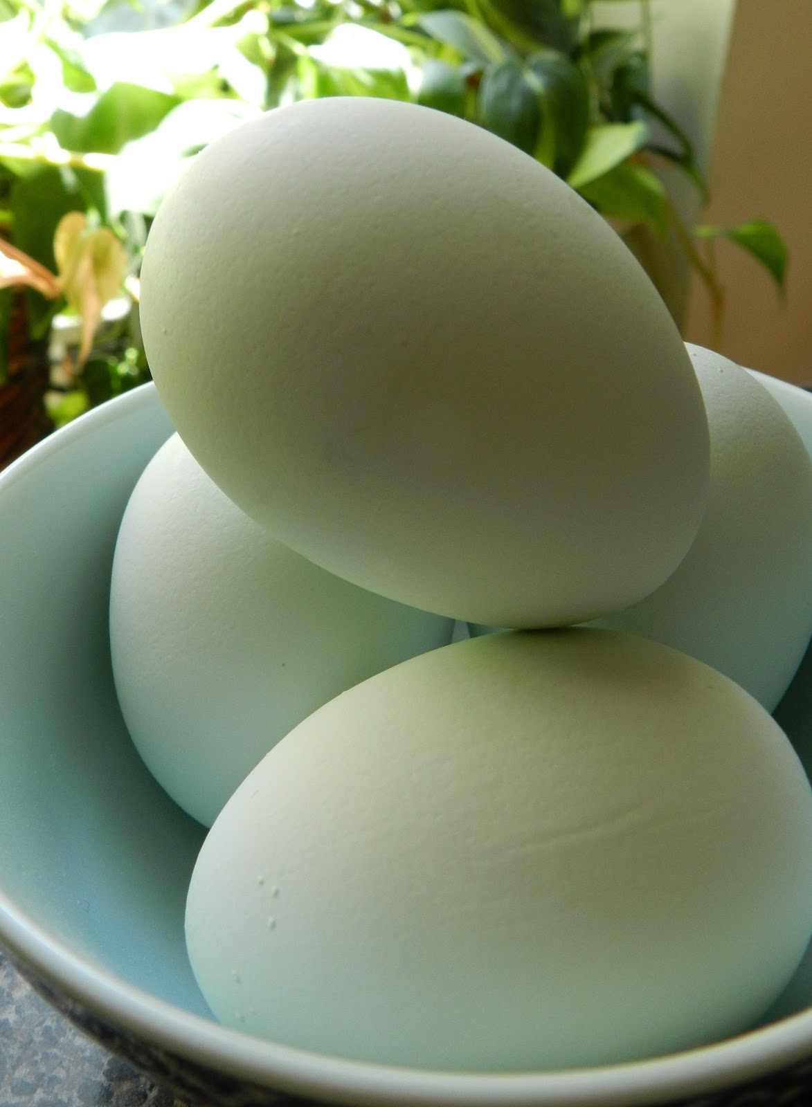 Herbed Heirloom Eggs & Crispy Roasted Mushrooms Pook's Pantry Recipe Blog