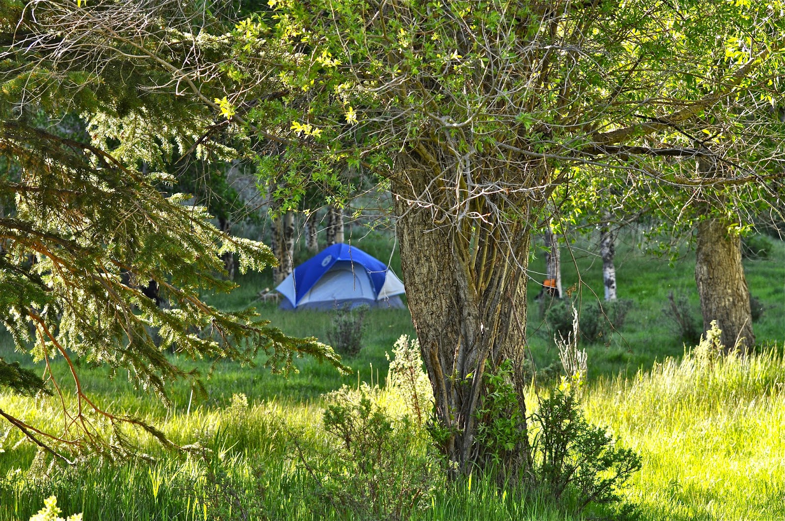 Jamie's Fly Fishing Journal Camping Trip to Beaver Creek