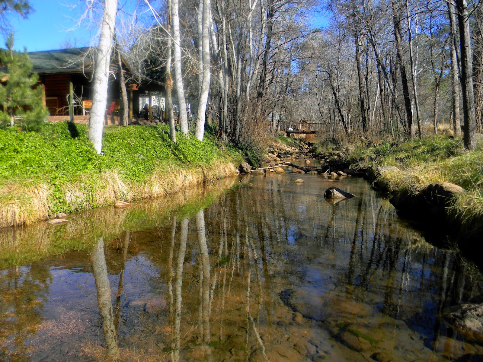 Around Christopher Creek
