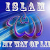 http://ilmu-duniadanakhirat.blogspot.com/2013/12/maraknya-penghinaan-terhadap-islam.html thumbnail