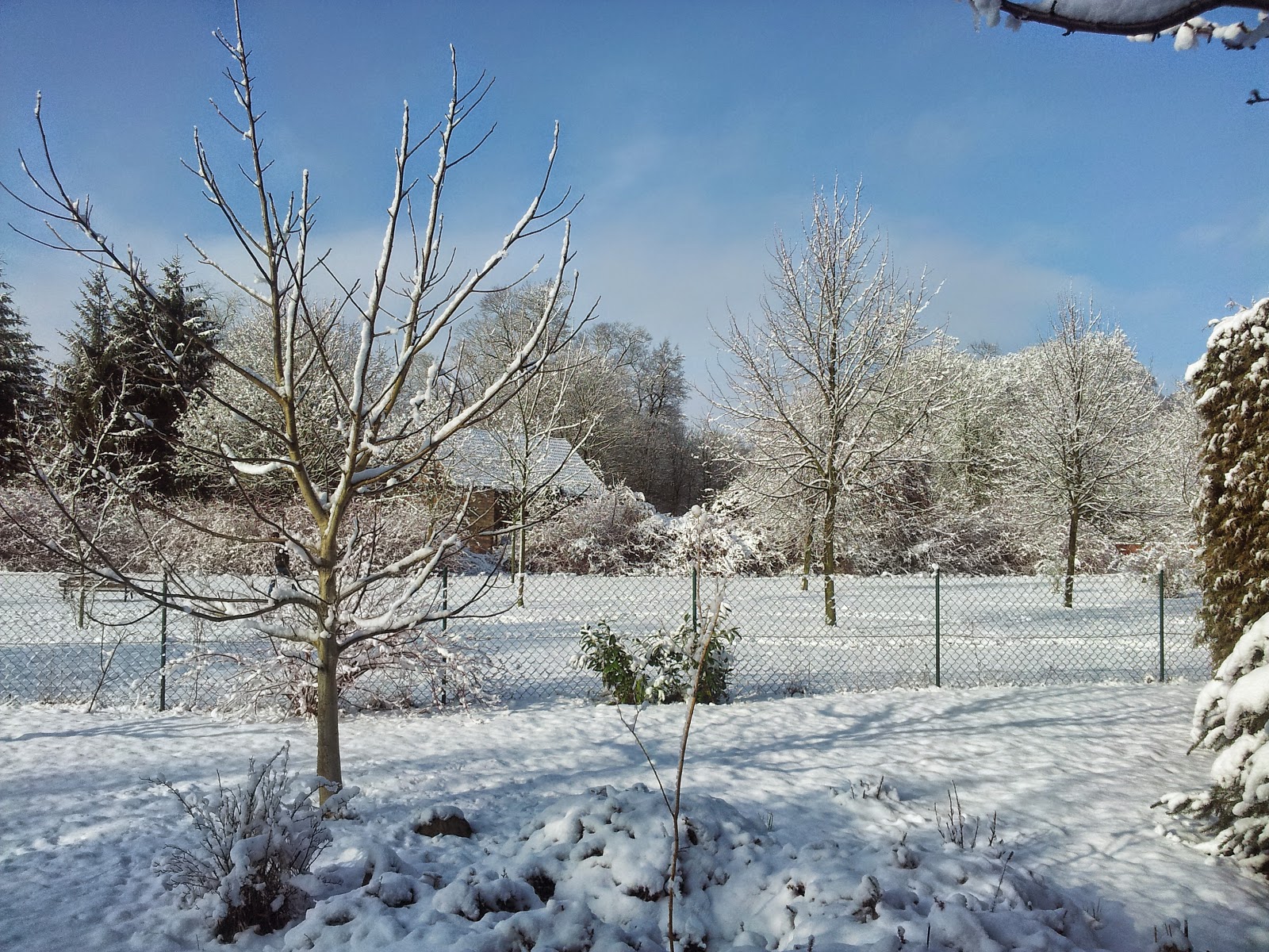 Donnerstag Den 26 02 2015 Gesundheit Ist Das Hochste Gut
