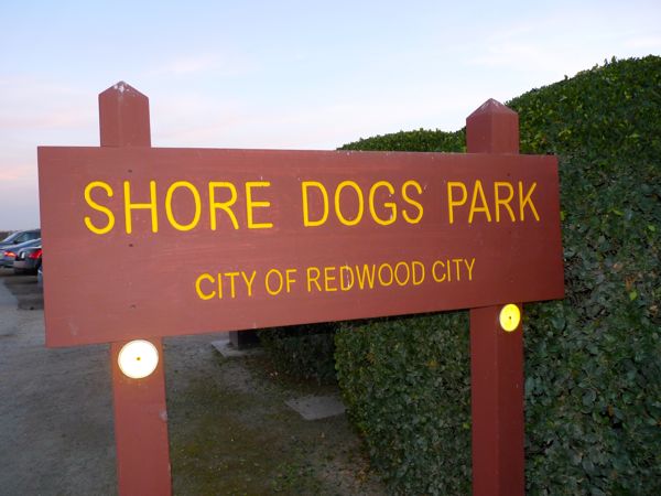 Shore Dogs Park