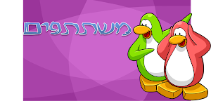 משתתפים !