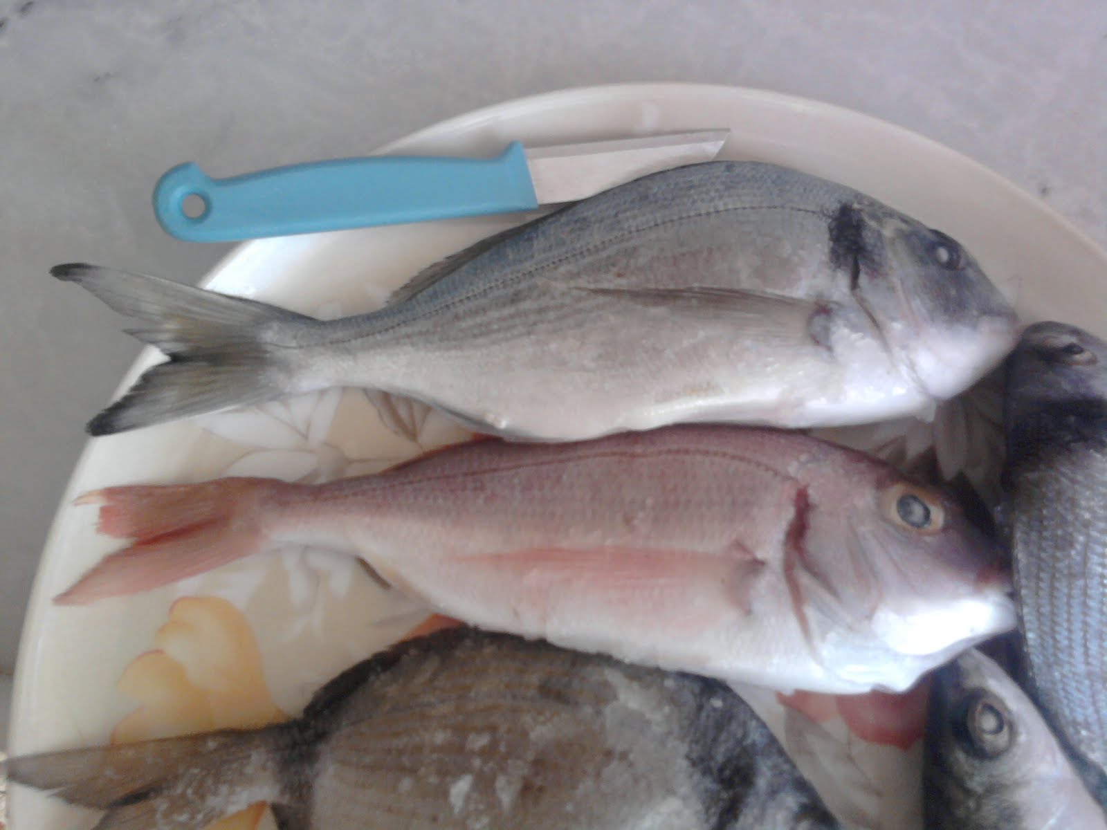 ALİAĞA�DA BALIK AVI