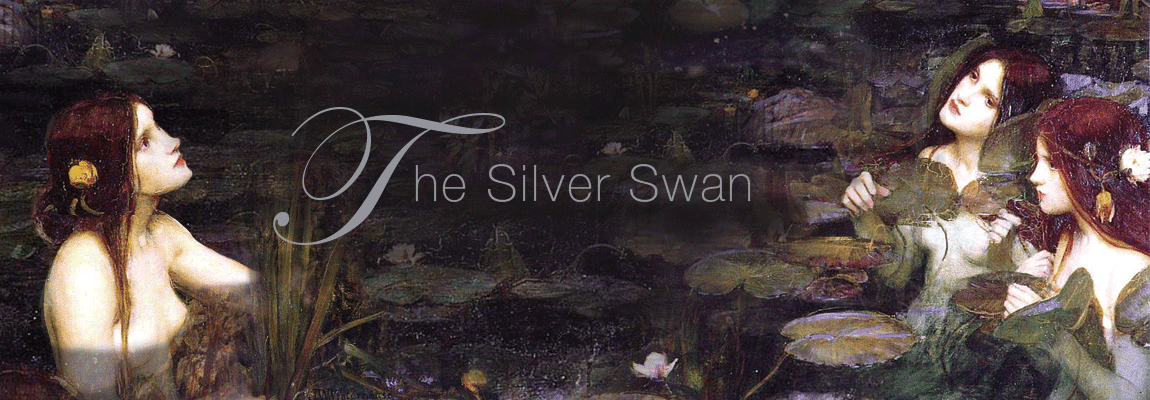 Silver Swan