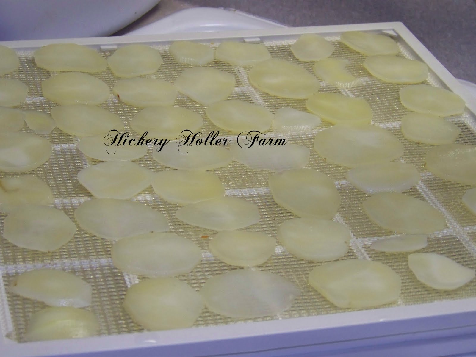 Hickery Holler Farm Dehydrated Sliced Potatoes