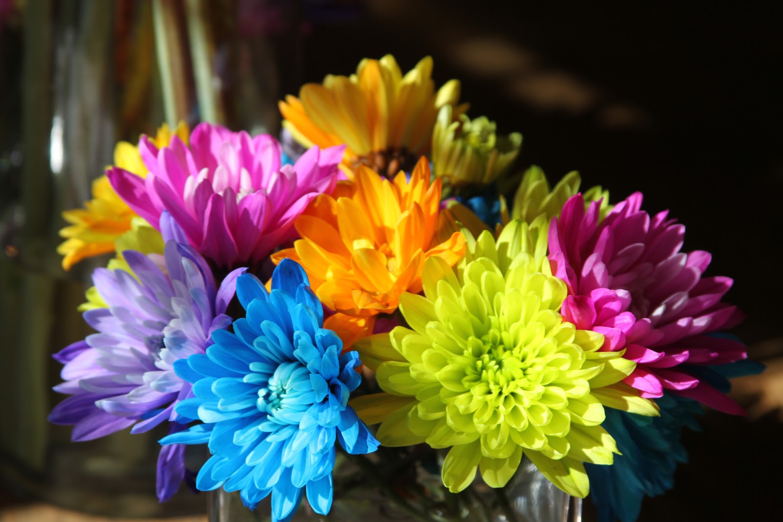 . Flowers Can Brighten Your Day