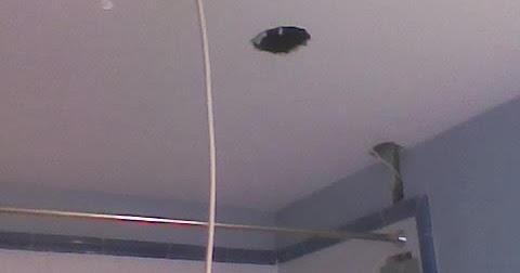 Multi Reparaciones y Reformas (Mantenimiento): Extractor de aire en baño