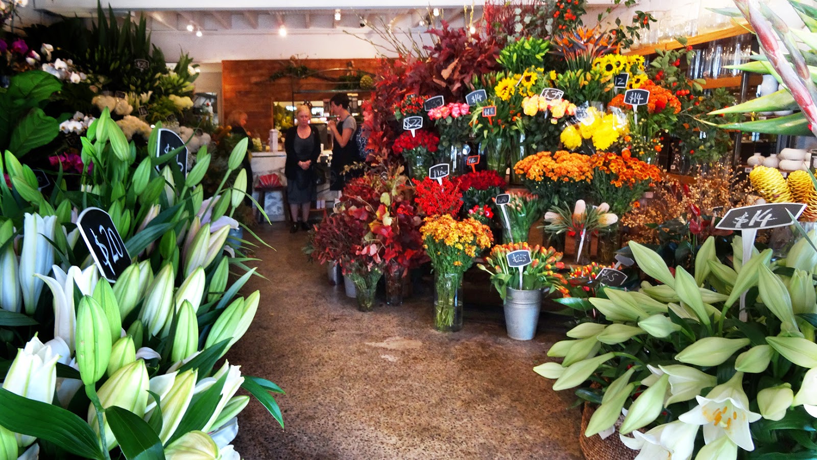 MAP FLOWERS VASETTE, FITZROY