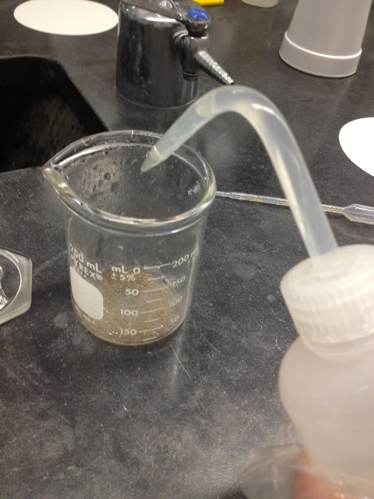 NGabbs Chem Blog Foul Water Lab Report