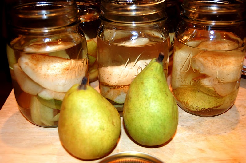 PromiseMe2....and A Lot About Food! Spiced GingerPear Vodka