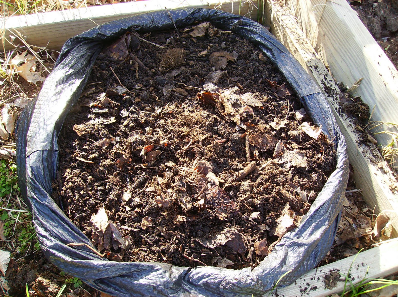 The Rusted Vegetable Garden