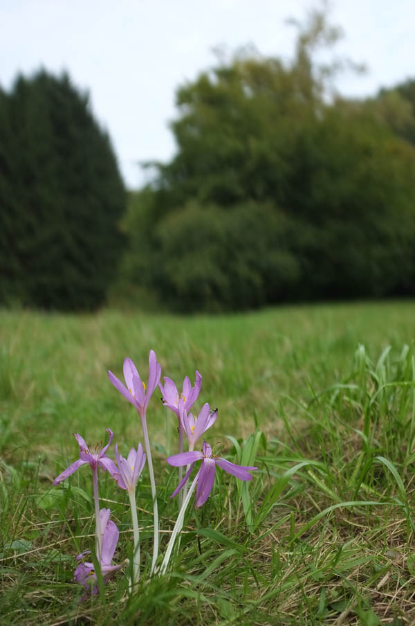 Fur Grunder De Fuer Gruender Twitter