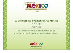 EXPERTOS EN MEXICO 2011