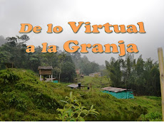 DE LO VIRTUAL A LA GRANJA