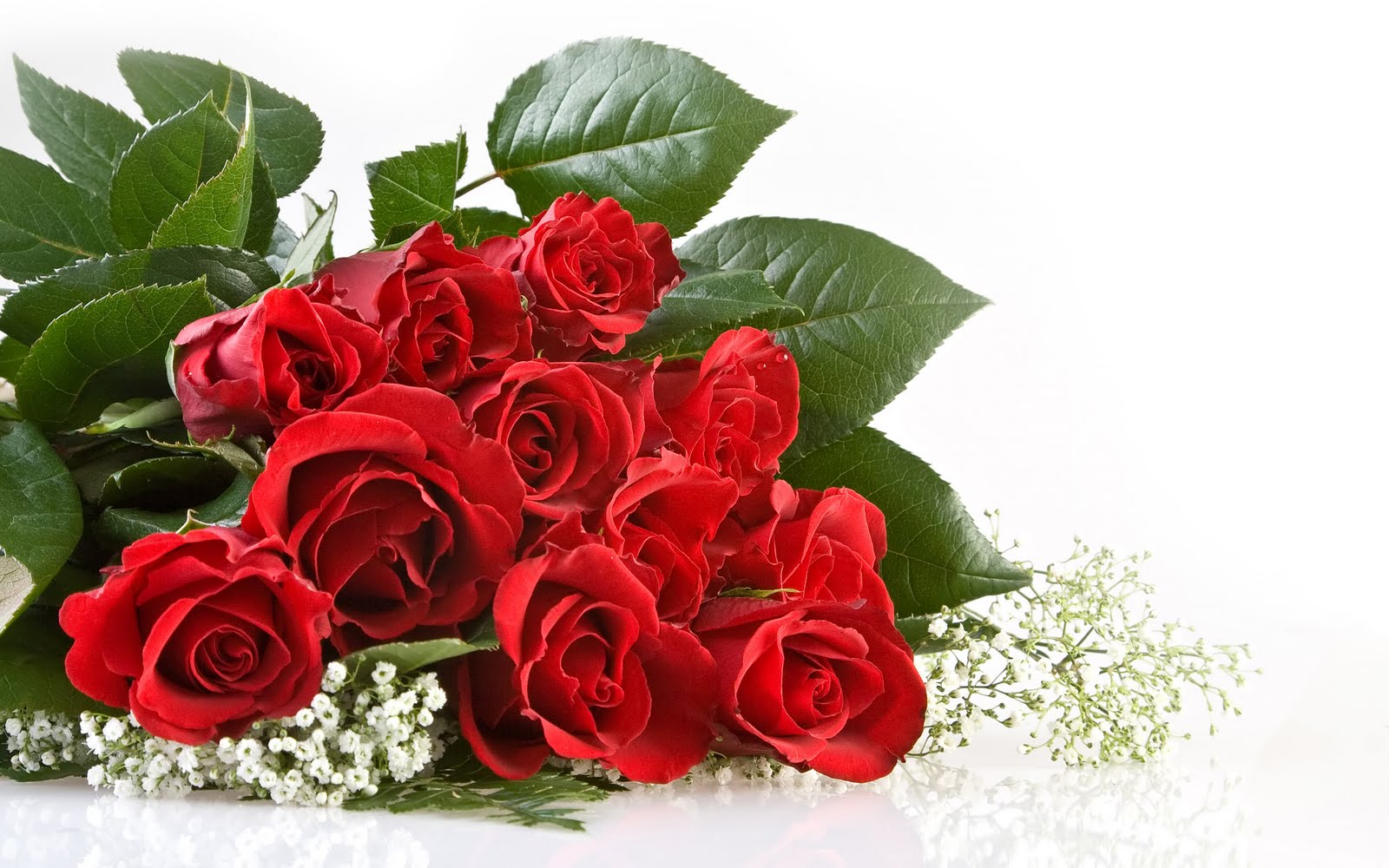 http://2.bp.blogspot.com/-0R7ZO87yBMc/UJ9ekBW405I/AAAAAAAAGYA/90-YwpD3-1Q/s1600/Red+Rose+HD+Wallpapers.jpg