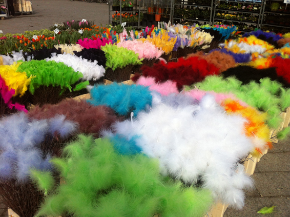 Food City Florist Elizabethton Tn Food City Florist Elizabethton Tn