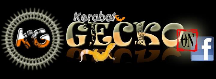 Kerabat Gecko Indonesia