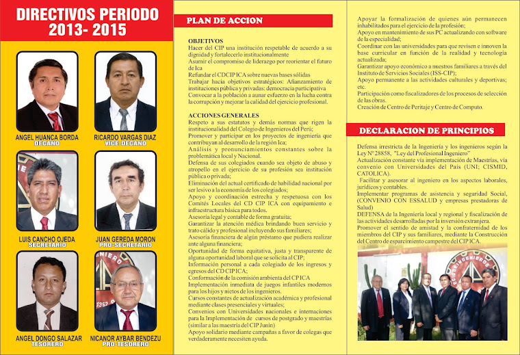 ELECCIONES CIP ICA