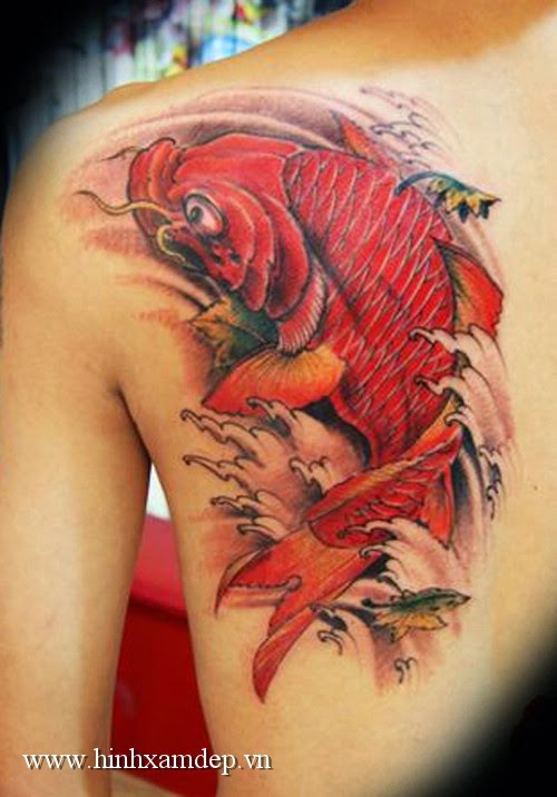 Hình xăm cá chép đẹp - 7