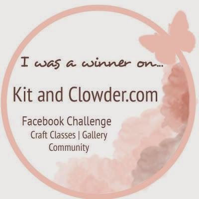 Kit and Clowder Top 3 challenge winner