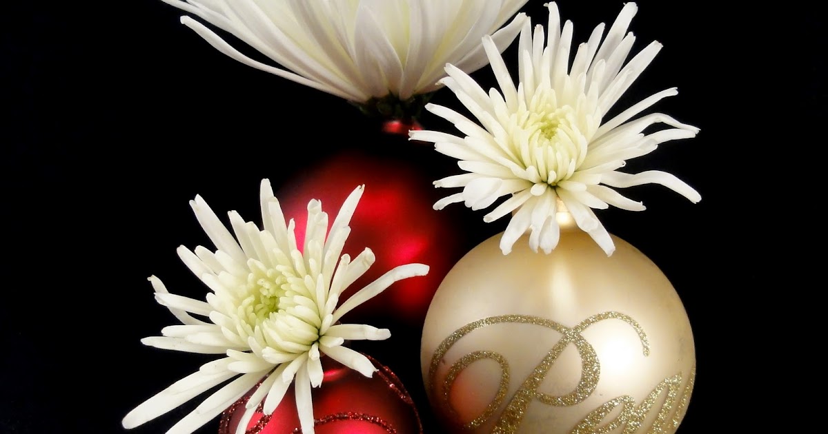 Katalina Jewelry Glass Ornament Vases