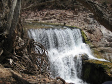 100417 - Fossil Springs Trail