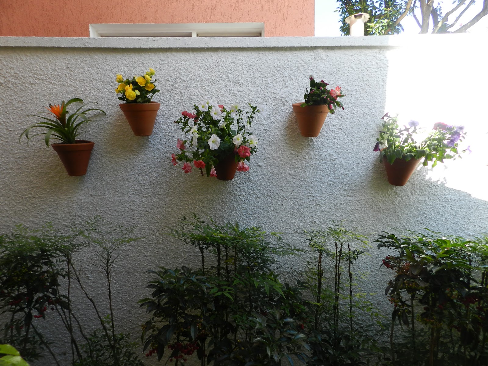 meu quintal meu jardim: mais . No seu lugar um cantinho para Jardim vertical e ficou assim meu quintal meu jardim: mais . No seu lugar um cantinho para Jardim vertical e ficou assim