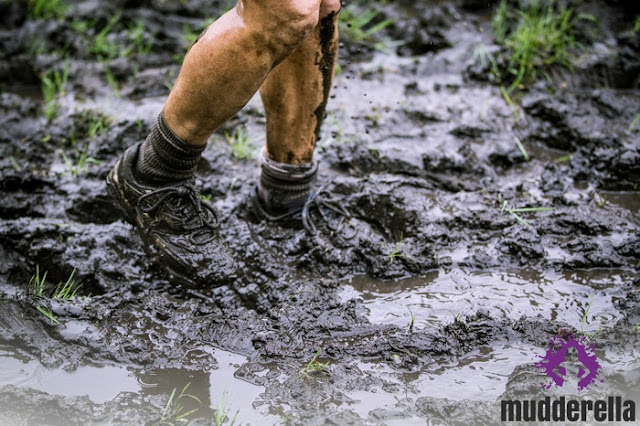 muddy ground