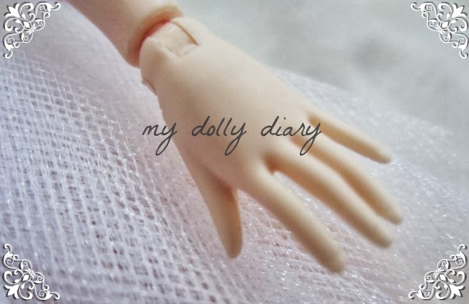 My dolly diary