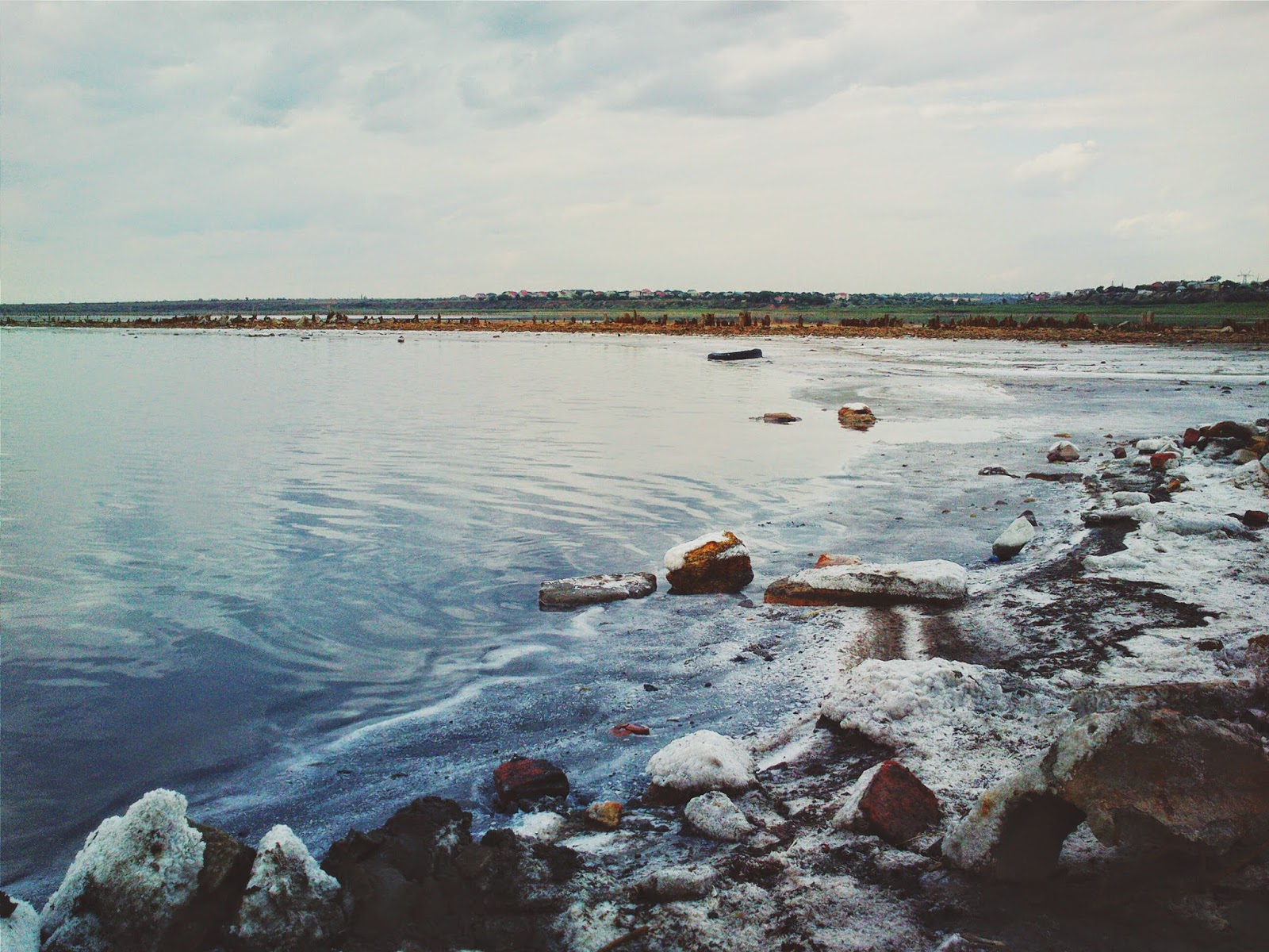 some kind of nature перевод