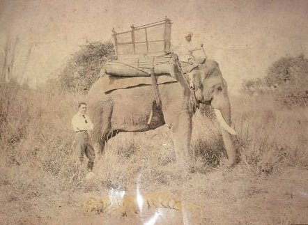 Admiral Cod: Tiger Hunting In The Raj