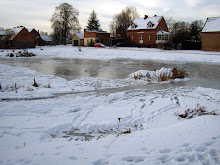 Participando de un seminario sobre el uso de la fotografía en el cine
