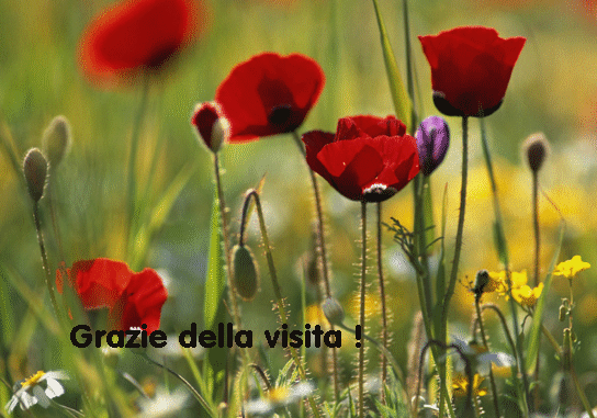 La mia passione per il ricamo: maggio 2013 Libretti punto croce con schemi asciugamani bagno
