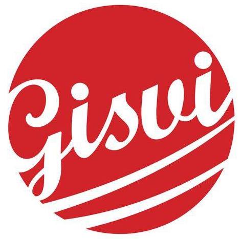 GISVI: E-Handbikes by Pau Gispert Victory