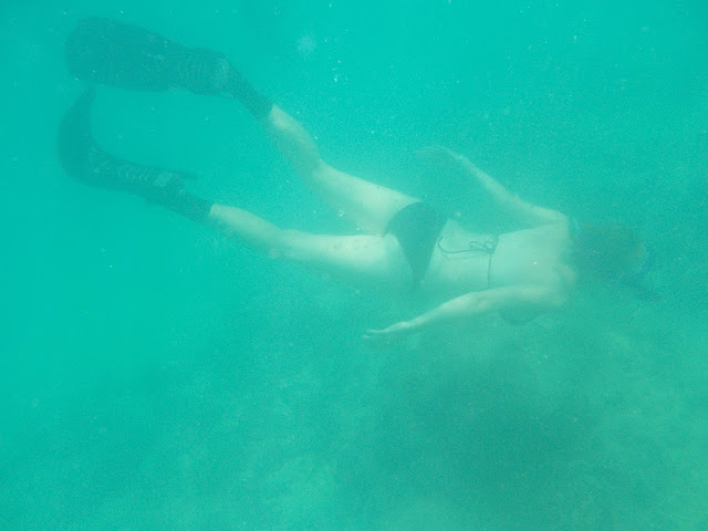 Oahu Snorkeling Hawaii