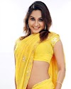 South actress masala images