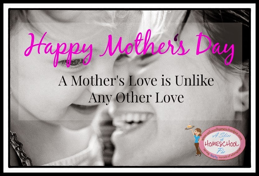 A Mother's Love is Unlike Any Other Love by ASliceOfHomeschoolPie.com