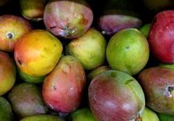 Foto de Mangos africano