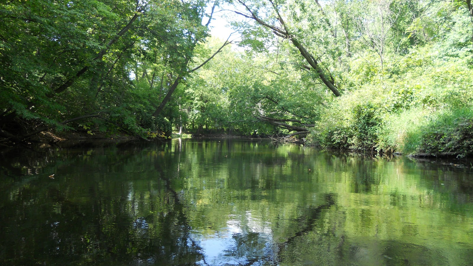 Canoeing the Thornapple River One of Michigan's Most Underrated Rivers.
