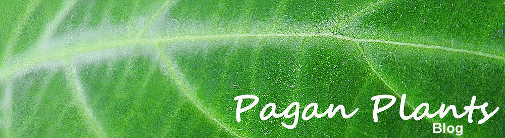 Pagan Plants Blog