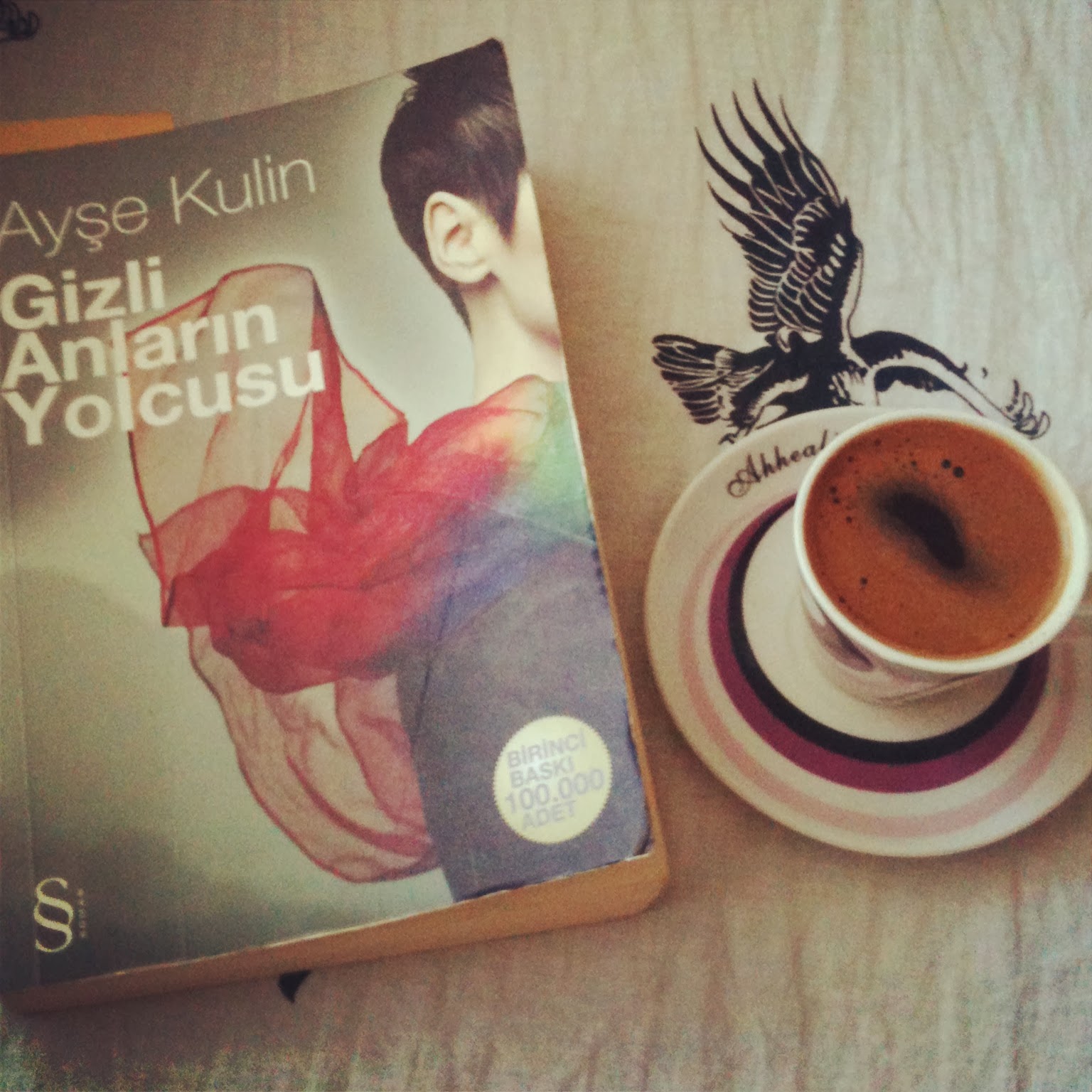 Bir Seri Ayse Kulin Elmalikedi