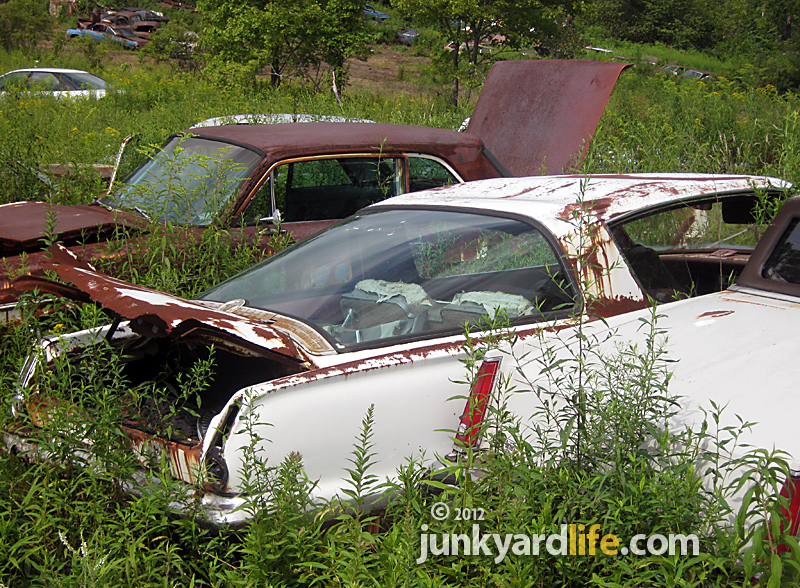 Loner S Salvage Car Crushing Loner S Salvage Car Crushing