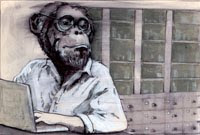 The Primate Diaries