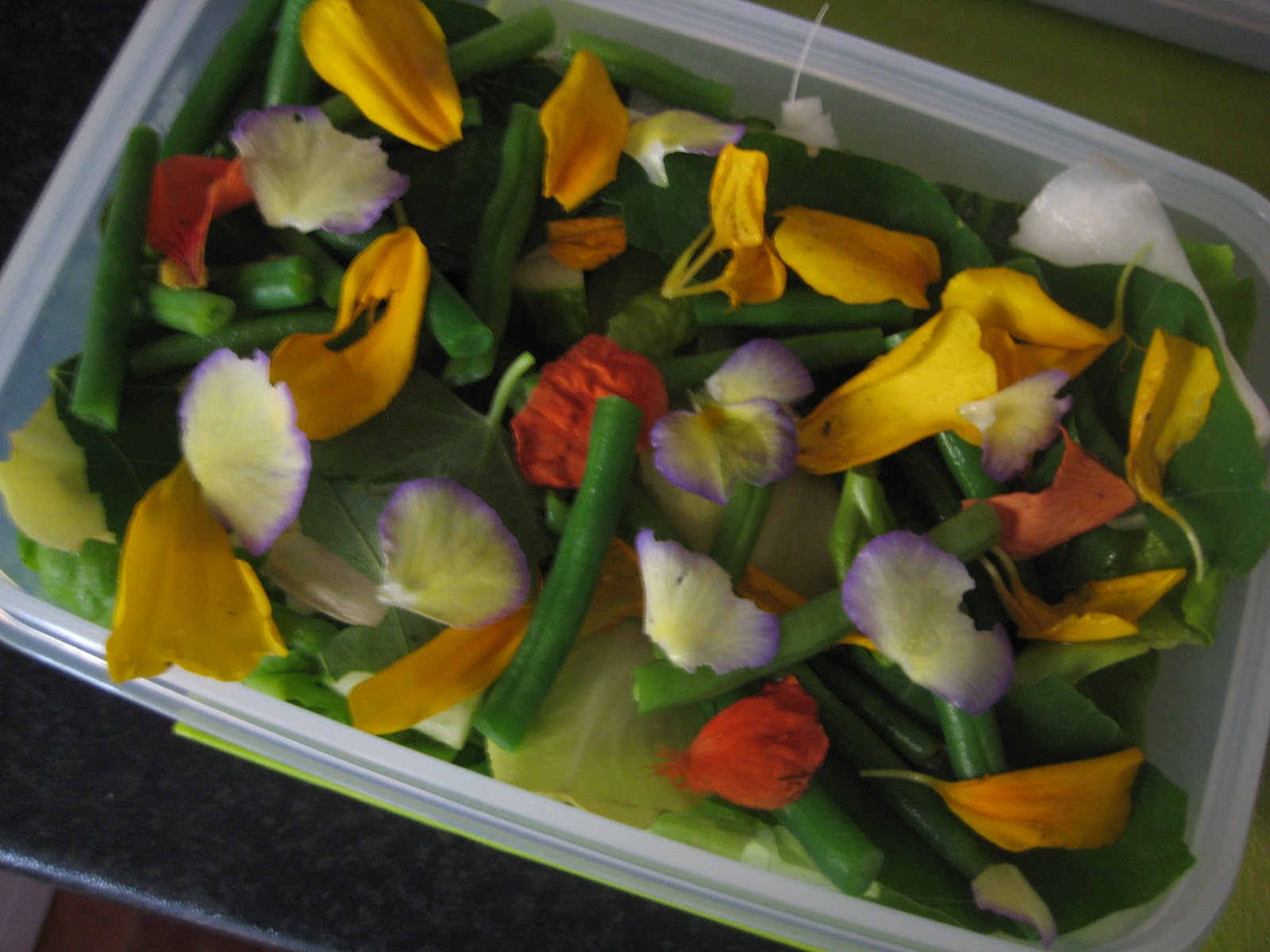 Lemon and Cheese Chicken, Courgette and Tarragon Quiche