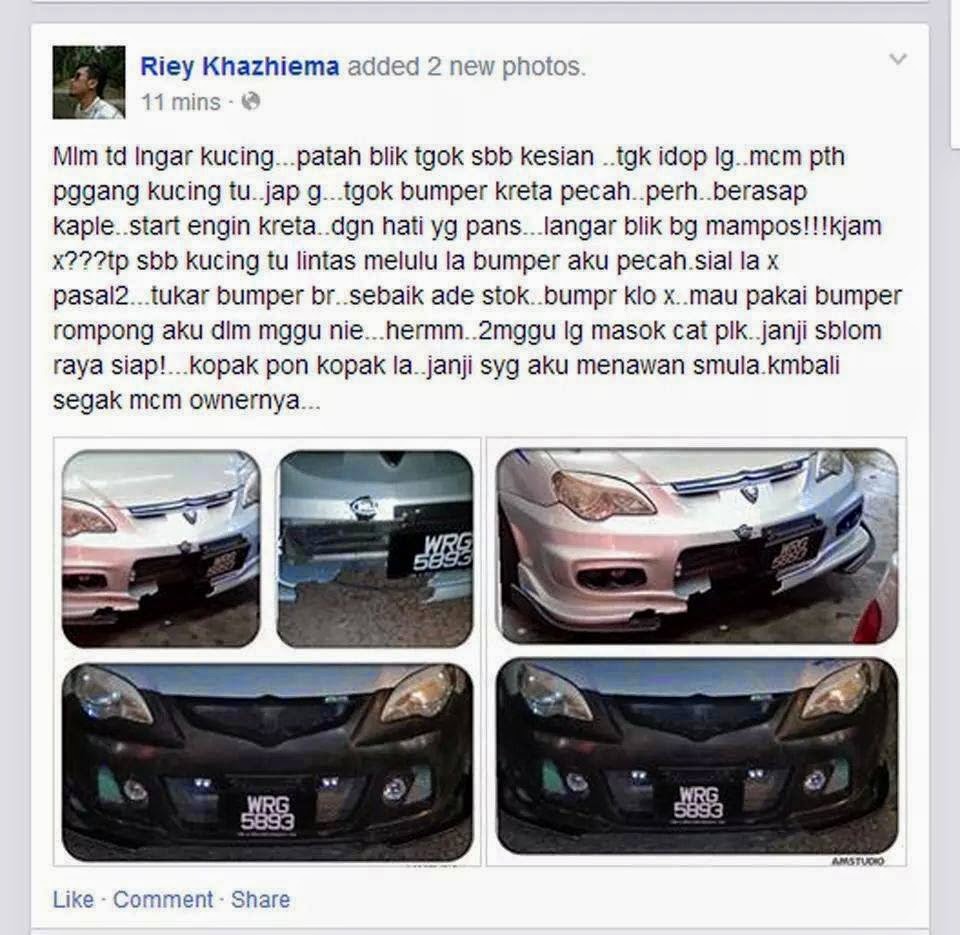 Kejam! Akibat Bumper Pecah, Remaja Langgar Kucing 2 Kali Sampai Mati Silang Jari